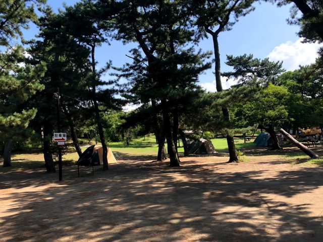 富津公園キャンプ場前編 事前予約不要 格安のフリーサイトはソロキャンプにもファミリーにもおすすめ そらいろキャンプ