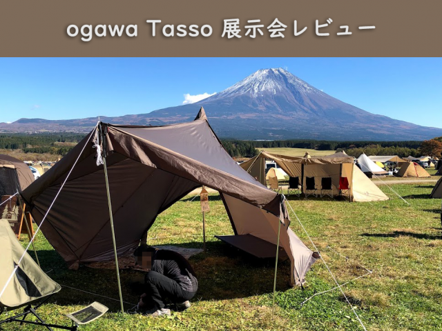 ogawa オガワ tasso タッソ T/C 未使用-